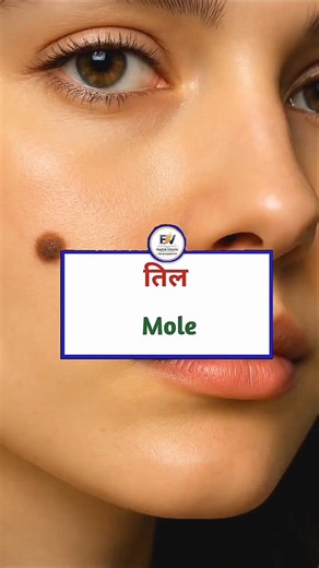 Spoken English Short Sentences For Beginners #shorts #spokenenglishclasses #spokenenglishpractice