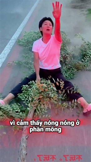 Tìm lại cảm giác ngồi trên cành cây để được kéo đi
