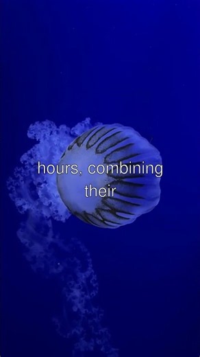 The Immortal Creature That Merges Its Bodies #shorts