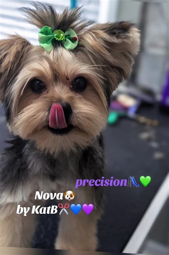 #Nova #byKatB✂️ 🚚🔥 IT’S HERE… THE PRECISION MOBILE UNIT HAS ARRIVED 🔥🚚💙💜 The Precision Grooming Spa Mobile Truck is officially ON SITE and ready to roll out of the shop! 🐾✨ After months of planning, building, and preparing — the Precision experience is now going MOBILE. 🐾💜 NOW BOOKING APPOINTMENTS 📅 First Day of Service: Monday, March 2nd This isn’t just a grooming van… This is the SAME elite Precision standard — delivered straight to your driveway. ✅ No traffic ✅ No waiting rooms ✅ Le