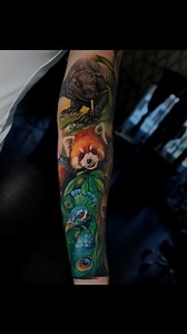 Video of Komodo dragon as an addition to the Asian sleeve design. Red panda and peacock are fully healed. --- The tattoo was made using: Inks: @intenzetattooink Machine: @inkmachines / @inkmachines.usa Aftercare: @aftercareh2ocean Aftercare tattoo film: @eztattooing Stencil: @stencilstuff Eco-friendly tattoo supplies: @deadlynorthsupply & @minimalethic.tattoosupply --- You can find me: LA ➡️ @inkologyartgallery_la NYC ➡️ @inkologyartgallery 👉Appointment by email only👈 --- #tattoo #ink #tattoos