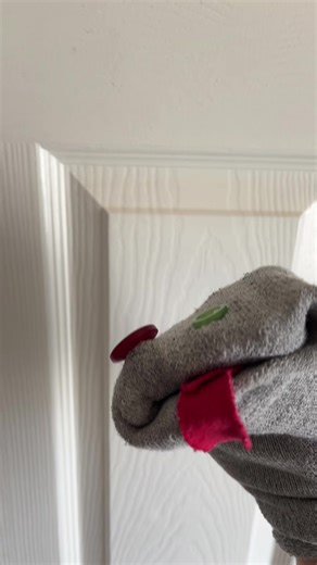 Wrong script #fyp #puppet