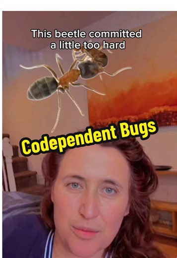 A new study just dropped about the most codependent bug you’ve ever seen. #science #entymology #bugs