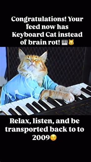 Daily Dose of  on Instagram: "Keyboard Cat is an iconic internet meme featuring Fatso, a cat hilariously “playing” a keyboard with its owner’s hands making the magic happen. Often used to humorously “play off” awkward moments, it became a viral classic. #happy #keyboard #keyboardcat #vibes #brainrot #memes #trend #community"