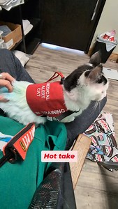 2.6K views · 325 reactions | I hate when people just get mad at addicts for being addicted. If you're trying to help them, that's not how #addictionawareness | Raw Fed Kitties | Facebook