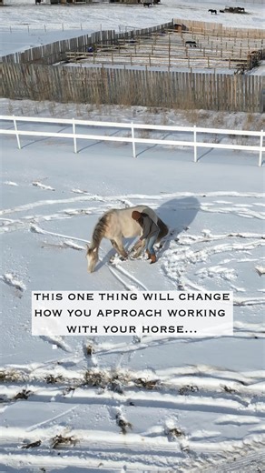 This is your reminder that understanding your horse's language is the key to a successful partnership with with them. Horses communicate in their own unique way, and it's crucial for us to tap into their style. You see, I still remember when I was in my early years of horse training, having those moments of frustration and struggle and doubt when it came to connecting with my horses. It was challenging... But through it all, I learned skills that changed everything – to truly work with horses, w