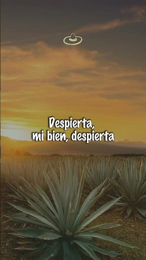 Vicente Fernández - Las Mañanitas (Letra/Lyrics) #shorts