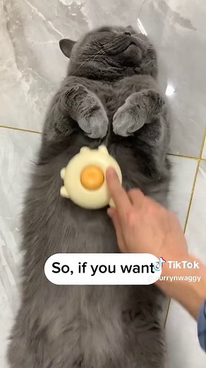 Amazing purry brush for cats #catgrooming #cats #catsoftiktok