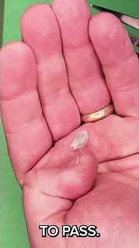 How a Cotton Gin Works - Simplified! #agriculture #cotton #homeschooling