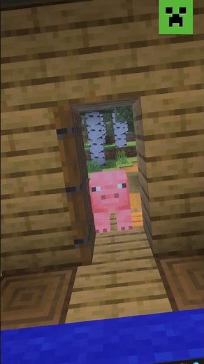 HOP ON THE SERVER....PLEASE?