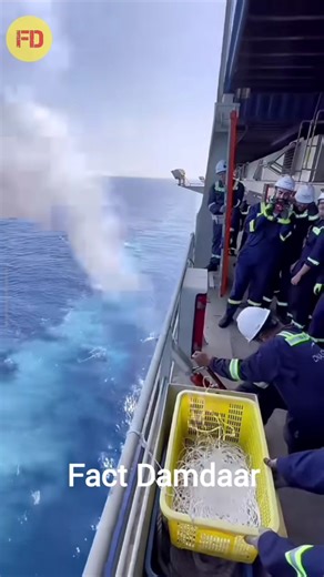 This Gun Fires a Rope Instead of Bullets #shorts #shortvideo