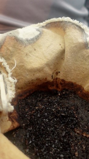 6.8K views · 290 reactions | Why add coffee to compost? 樂 #compost #composting #gardenlife | Garden Marcus | Facebook