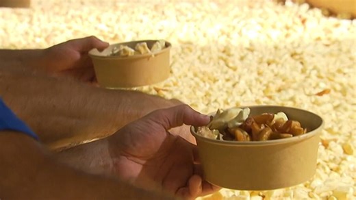Quebec town sets new world record for biggest poutine