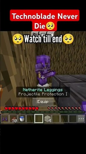 TecnoBlade Never Died Baby 😫❤️//Poly Gamer #minecraft #viral