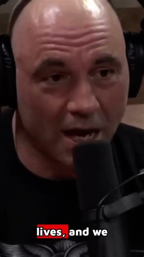 Elon Musk Explains the Metric of "Life Years Lost" | Joe Rogan Experience