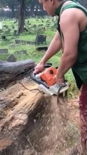 carpenter's technique of splitting large logs #shortvideo #chainsaw #treecutting