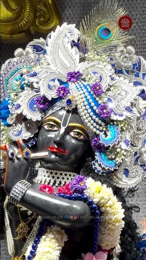 🌸Today’s Special Darshan 6 June 2026🌸Sri Sri Radha Madhava Mandir ISKCON Attapur #iskcon #darshan