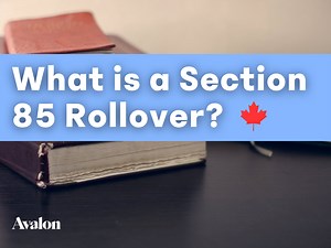 What is a Section 85 Rollover and Why Would I Use it? | Avalon Accounting
