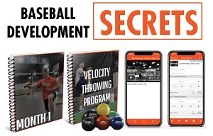 Online Training | BRX Performance