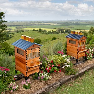 Today marks the summer solstice in the Northern Hemisphere ☀️ and the winter solstice here in the southern hemisphere ❄️ Happy Solstice to all our beekeeping community ❄️ ☀️ No matter where we are in the world, we can all keep bees 🐝🌍 | Flow Hive