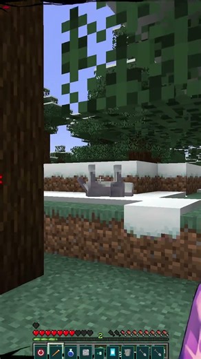 What Is WRONG with Minecraft Dogs!?