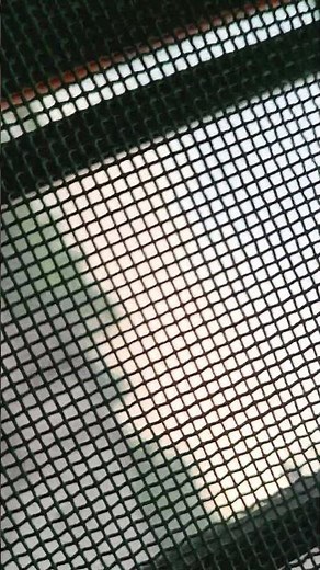 the real capture picture of nature