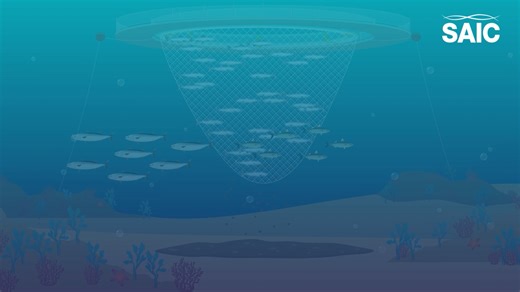 Is metabarcoding a viable alternative for benthic monitoring on fish farms?
