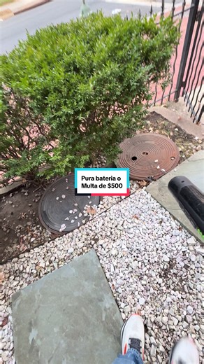 Leaves clean up with battery power blower #yarderos #lawncare #landscape