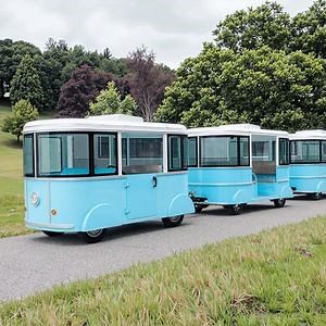 [Hot Item] Shopping Mall Electric Train Electric Mini Trackless Train for Parks