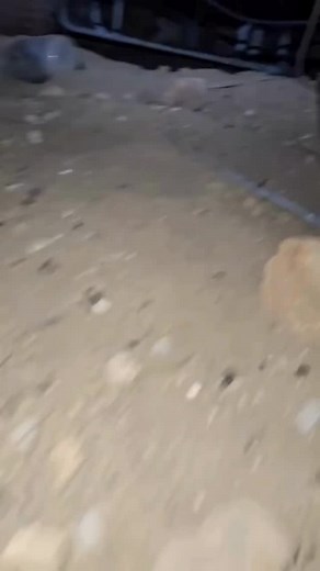 Seeing holes or burrows dug around your property? 🕳️Noticing some wires have recently been chewed through? These could be signs you may have a groundhog problem! Groundhog burrows can pose issues for your property, especially if they’re near your home. In some cases, they can create trip hazards and even allow rainwater to seep toward your foundation and damage it over time. Don’t let these pesky diggers make your home their playground! Protect your property with help from the pros at the link 