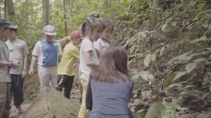 43K views · 290 reactions | Always wanted to do something a little more for nature? Whether you’re interested in nature guiding, gardening or interacting with kids, hear the stories from our NParks volunteers Michelle Neo, Teh Ling Tee and Liu Kai Yi to find out how easy it is to take the first step! :) More on our volunteer opportunities at www.nparks.gov.sg/contribute/volunteer | NParks | Facebook