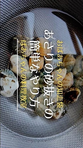アサリの砂抜き（砂出し）の簡単なやり方／ばあちゃんの料理教室 #shorts