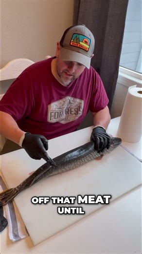 Fish Filleting: Expert Guide to Perfect Cuts #shorts