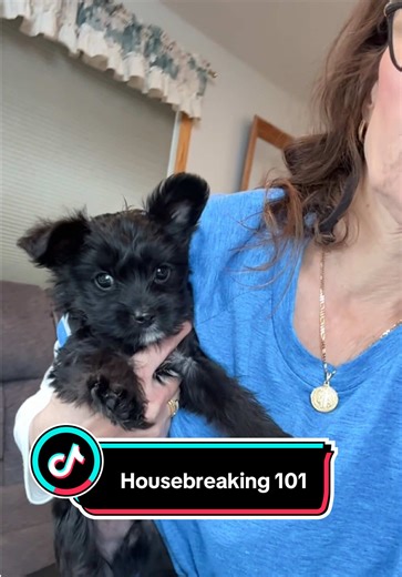 Housebreaking Your Yorkie or YorkiePoo Puppy: A Guide