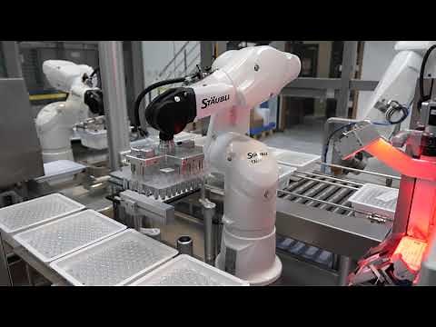 Inspection and packaging of 36,000 syringes per hour