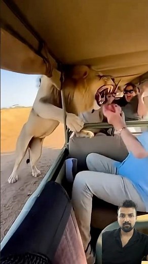 Dangerous Lion Attack While Eating #Viral #Trending #Shorts #FYP #ForYou #Explore #wild