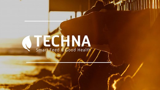 Techna | Expert Nutrition et Santé Animale | TECHNA