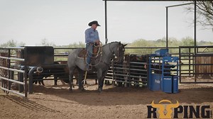 2.1K views · 50 reactions | 헛헲혆, 헰헮헹헳 헿헼헽헲헿혀, 현헲'혃헲 헴헼혁 헮 헻헲현 헰헼헮헰헵 헳헼헿 혆헼혂! We just dropped some new videos with 홇홤활홖홣 홃홖홧홠홚홮, and in this full video, Harkey explains the keys to starting a green horse out of the box ➡️ https://bit.ly/44SDAp4 | Roping.com | Facebook