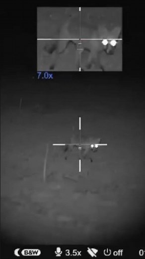 Night vision hunting | KILLSHOR