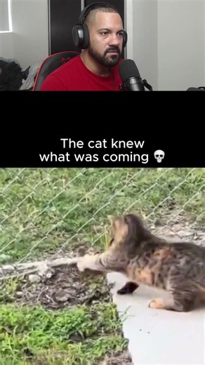 A fate worse than death 😰