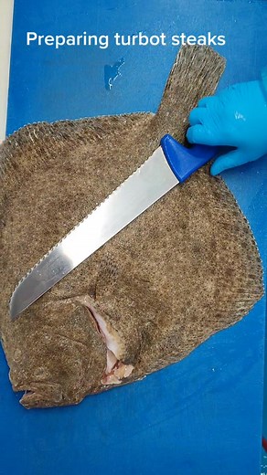 Turbot on the Bone Steaks Preparation with Bone Knife