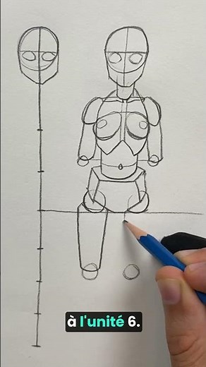 Draw the proportions of the human body