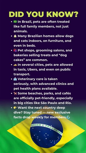 🇧🇷 Brazil’s Pets Live Like Family — Here’s Why!😲