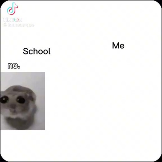 Nooooooooooooo