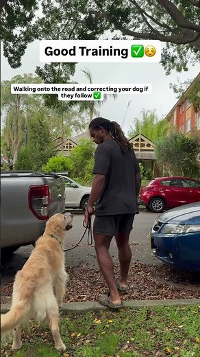 Road Thresholds