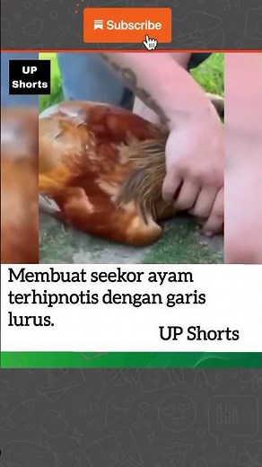 #upshorts #viralshorts #fyp