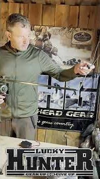 Pigeon carrousel for efficient hunting