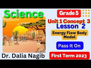 Science Grade 5 المنهج الجديد Energy Flow Body Model Concept 3 Lesson 2 ساينس خامسه المنهج الجديد