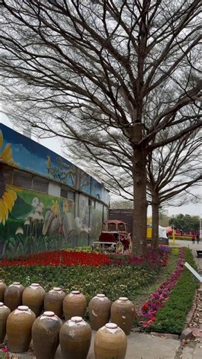 #溪州公園 #賞花景點 #風景写真 #散步 #Xizhou Park #Flower Viewing Spot #Scenic Photos #Stroll