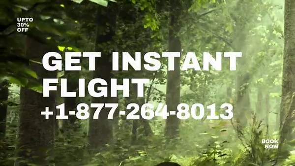 25 Ways To ®Access United Airlines Customer Service By ®Phone, Chat, And Email: A Step-by-step Guide